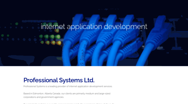 professional-systems.com