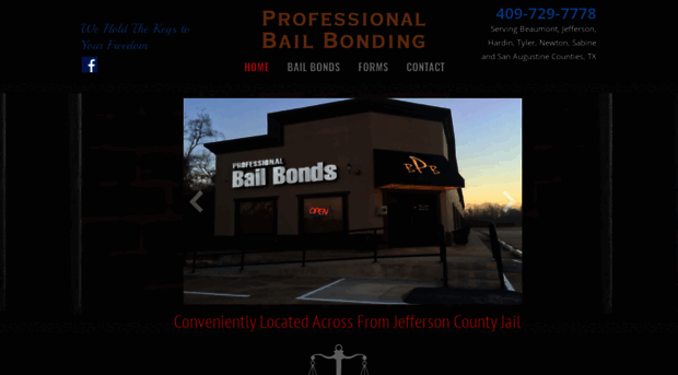 professionalbailbond.com