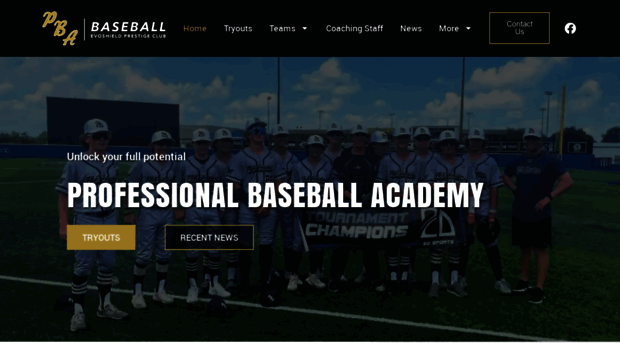 professionalbaseballacademy.com