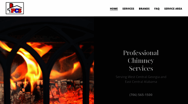 professionalchimneyservice.com