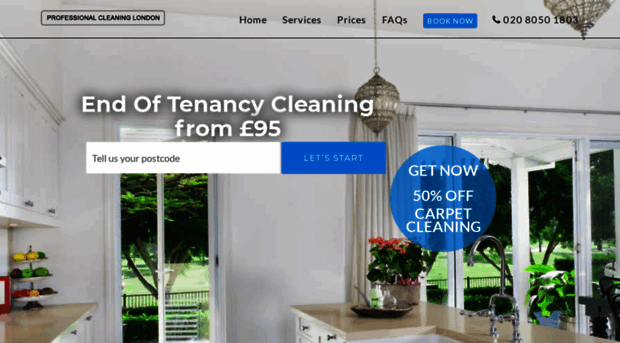 professionalcleaning-london.co.uk