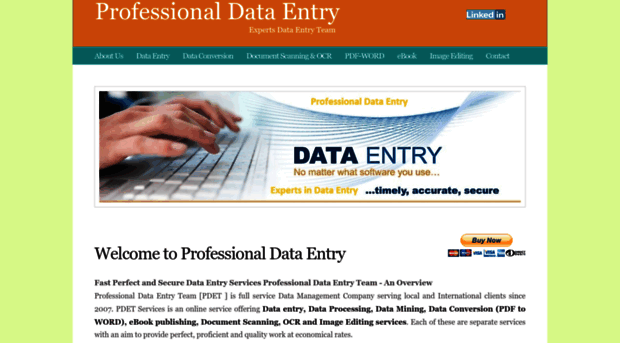 professionaldataentry.com