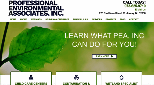 professionalenvironmentalassociates.com