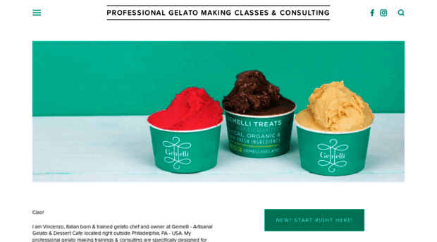 professionalgelatotraining.com