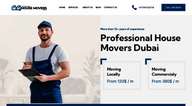 professionalhousemoversdubai.com