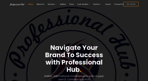 professionalhub.net