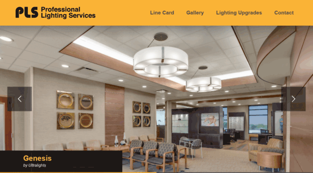 professionallightingservices.com