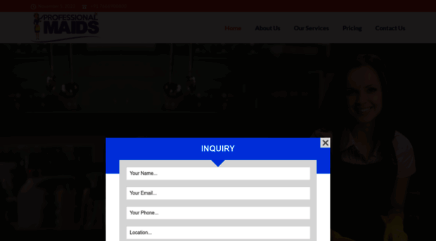 professionalmaids.in