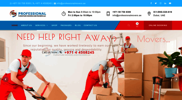 professionalmovers.ae