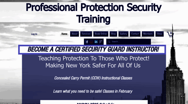 professionalprotection.org