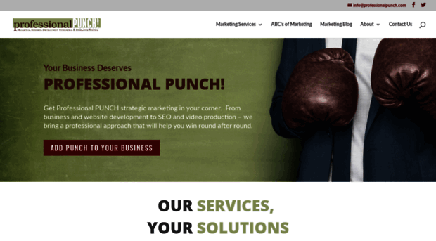 professionalpunch.com