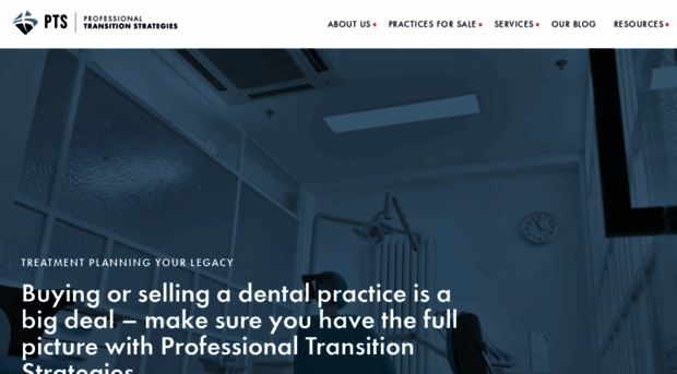 professionaltransition.com