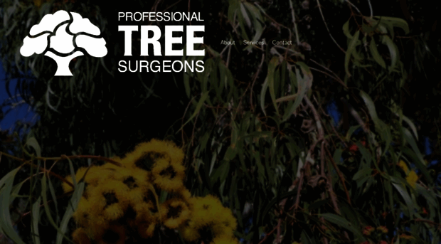 professionaltreesurgeons.com.au