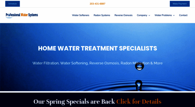 professionalwatersystems.com