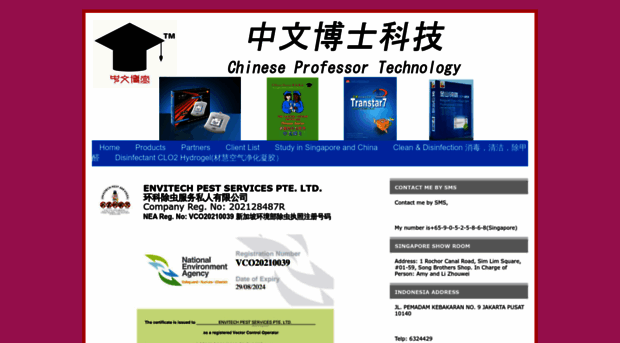 professorchinese.com