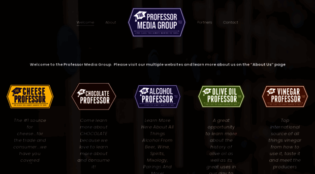 professormediagroup.com