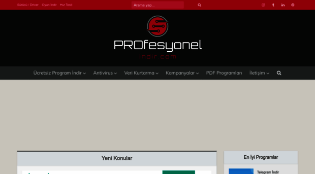 profesyonelindir.com