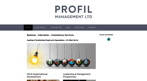 profilassociates.com