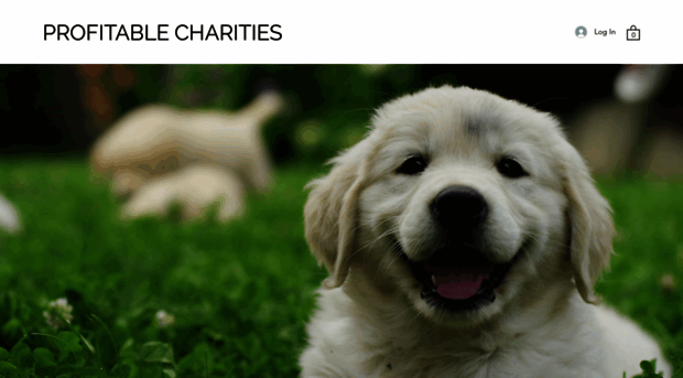 profitablecharities.org