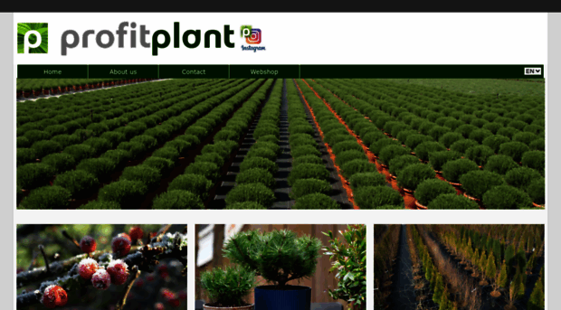 profitplant.nl