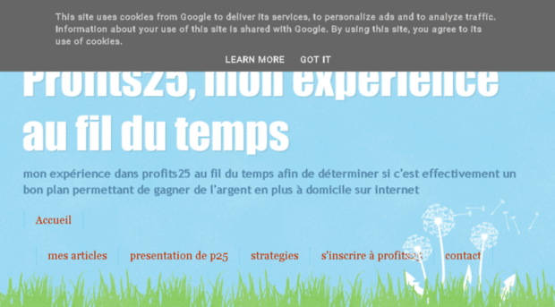 profits25-avis-experience-argent.blogspot.fr