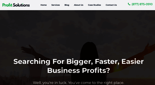 profitsolutions.com