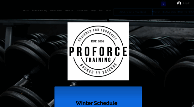 proforceti.com