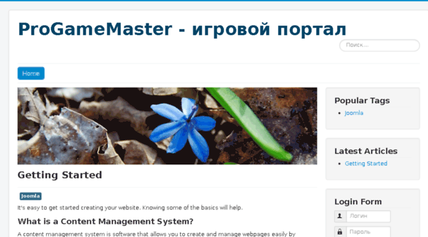 progamemaster.ru