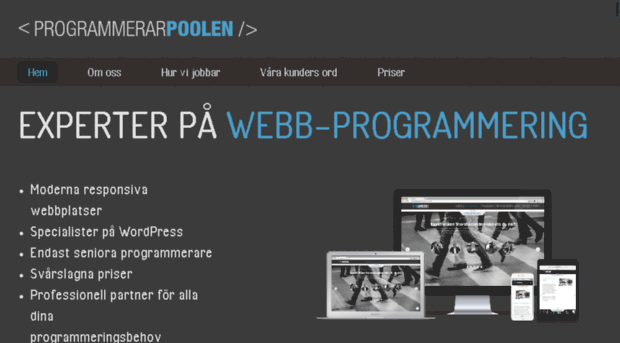 programmerarpoolen.com