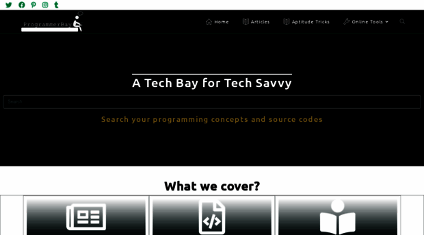 programmerbay.com