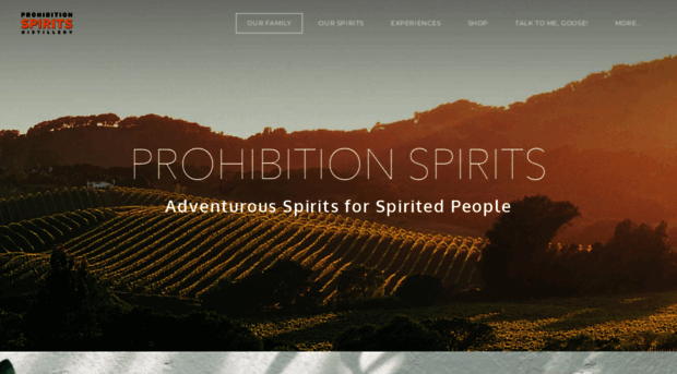 prohibition-spirits.com