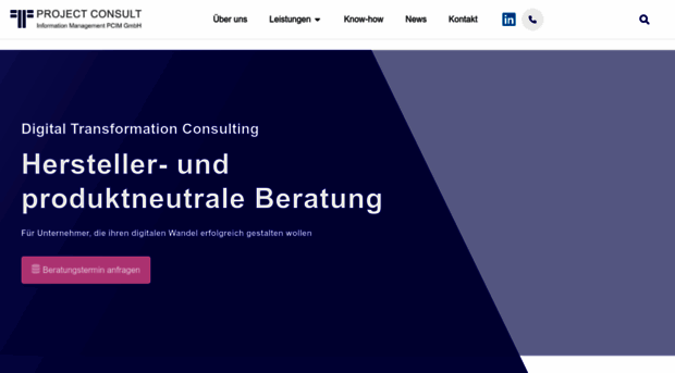 project-consult.de