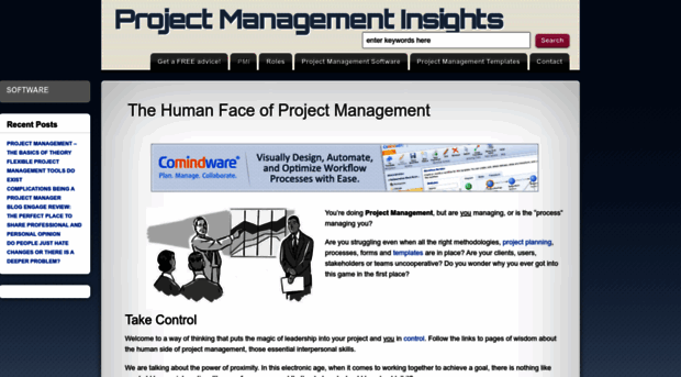 project-management-insights.com