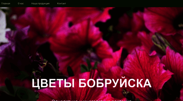 project581282.tilda.ws