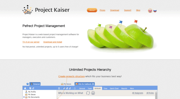 projectkaiser.com