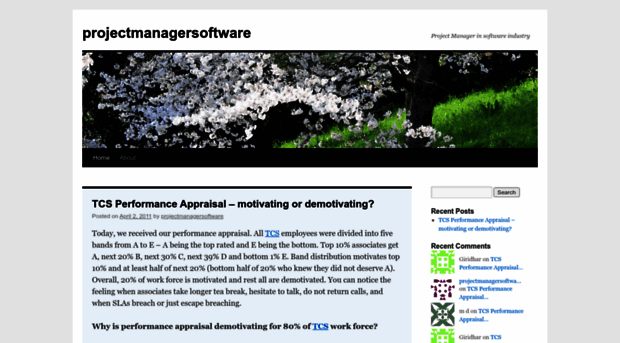 projectmanagersoftware.wordpress.com