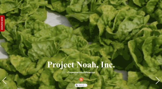 projectnoah.com