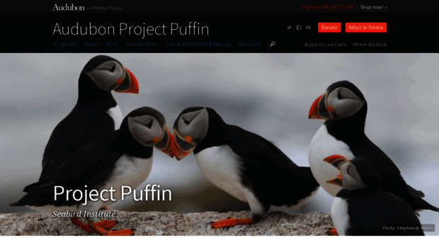 projectpuffin.org