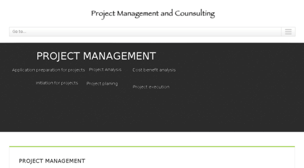 projects-consulting.net