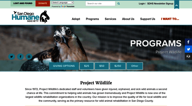 projectwildlife.org