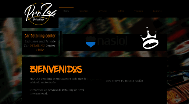 prolabdetailing.com