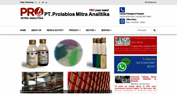 prolabios.com