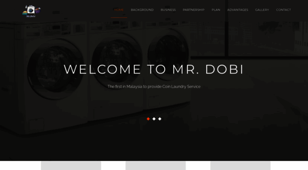 prolaundry2u.com