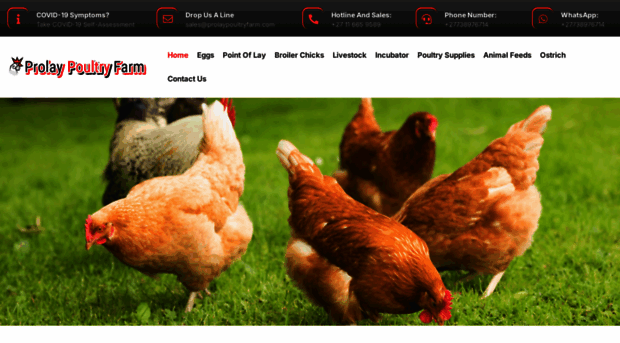 prolaypoultryfarm.com