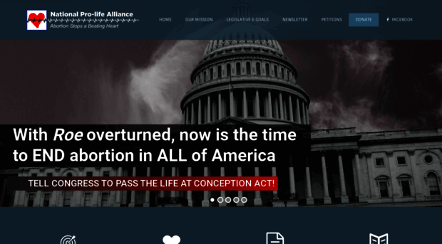 prolifealliance.com