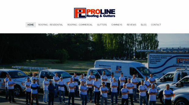 prolineroofing.com