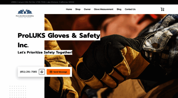 proluksgloves.com