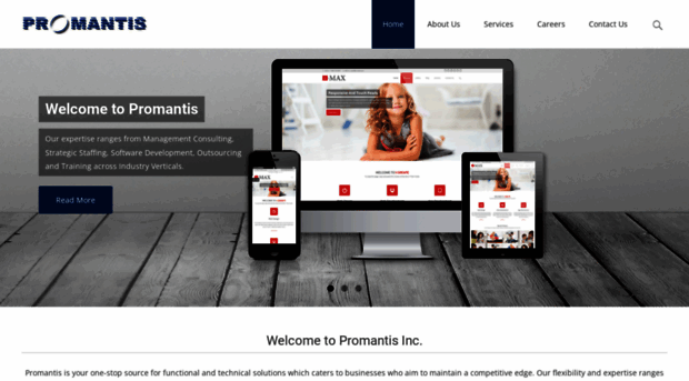 promantisinc.com