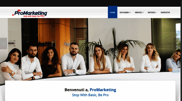 promarketingal.com