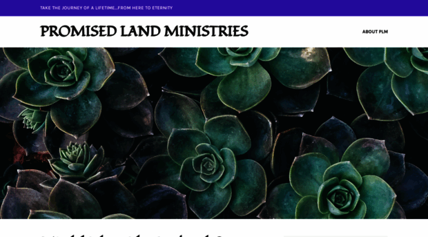 promisedlandministries.wordpress.com